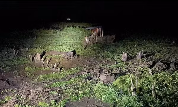 Đắk Lắk: Kéo xe ra khỏi vũng lầy, 2 thanh niên tử vong do vướng dây điện