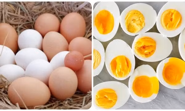Trứng rất tốt nhưng nên ăn mấy quả trứng một tuần?