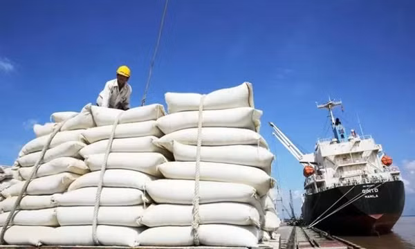 Gạo là mặt hàng xuất khẩu lớn nhất của Việt Nam sang thị trường Indonesia