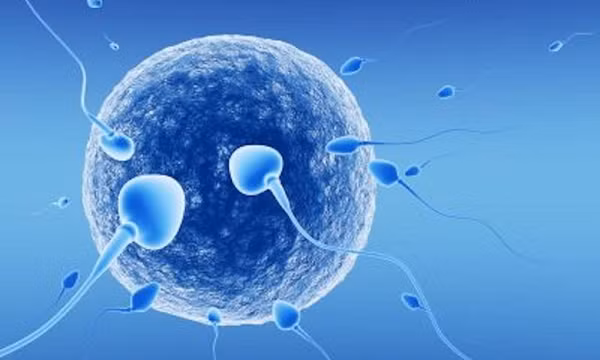 Câu hỏi thường gặp liên quan đến tinh trùng yếu