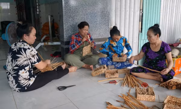 Hàng nghìn lao động có việc làm nhờ bèo lục bình
