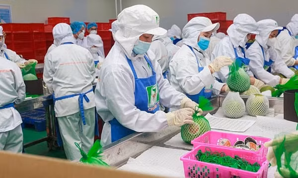 Quyết liệt thu hồi nợ đọng thuế, tránh thất thu ngân sách Nhà nước