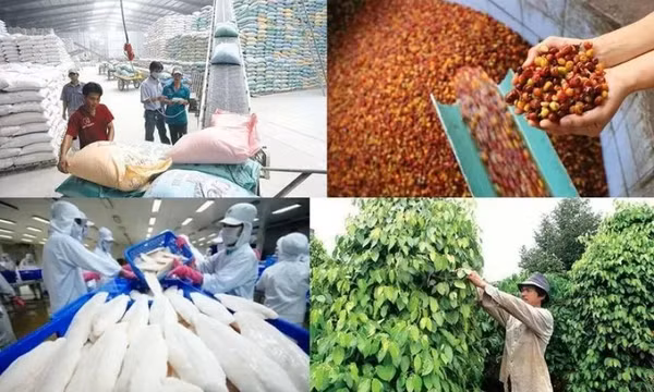 Top 3 thị trường xuất khẩu lớn nhất của nông lâm thủy sản Việt Nam