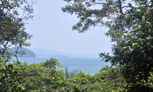 Đảo Ba Mùn xanh