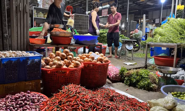 Ớt Việt Nam có gì đặc biệt mà Trung Quốc tăng thu mua?