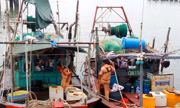 Xử lý 2 tàu cá đánh bắt thủy sản trái phép trong vùng lõi Di sản vịnh Hạ Long
