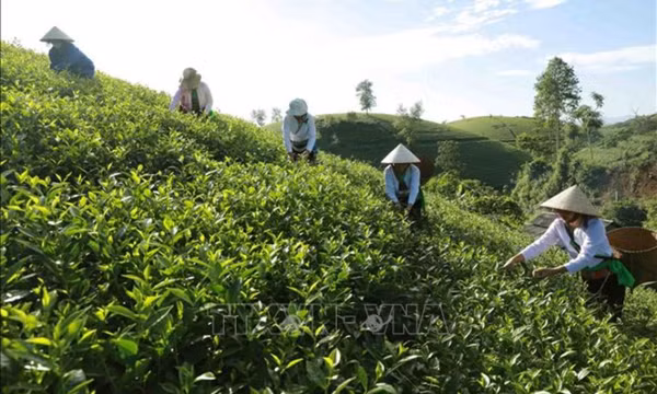Hút FDI cho vùng miền núi