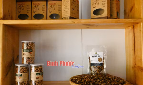 Bình Phước: Độc lạ hạt kơnia