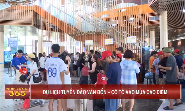 Du lịch tuyến đảo Vân Đồn – Cô Tô vào mùa cao điểm
