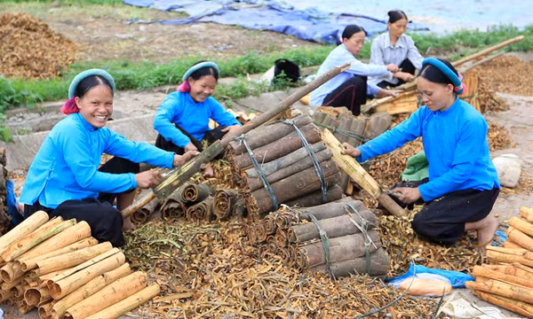 Nâng cao đời sống người dân vùng dân tộc thiểu số
