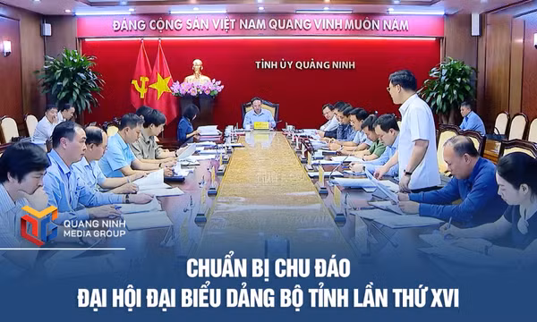 Chuẩn bị chu đáo Đại hội Đại biểu Đảng bộ tỉnh lần thứ XVI