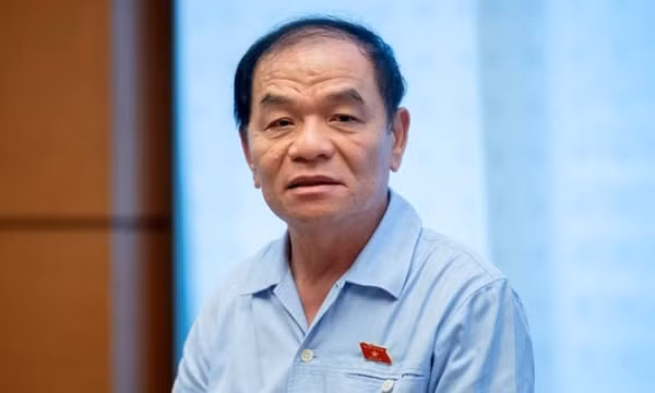 Đồng ý khởi tố, bắt tạm giam, tạm đình chỉ nhiệm vụ đại biểu Quốc hội đối với ông Lê Thanh Vân