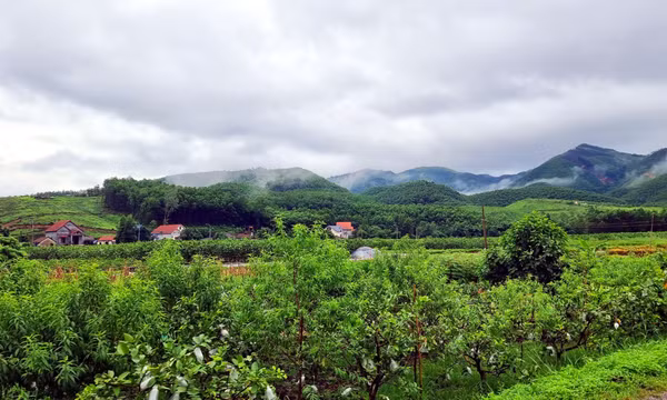 Ngày mới trên căn cứ cách mạng Sơn Dương