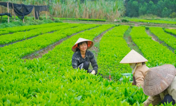 Mọi người dân đều được hưởng thành quả phát triển