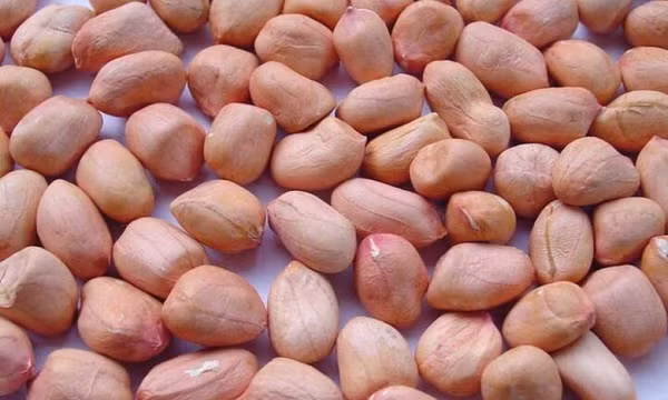 Những bài thuốc chữa bệnh từ hạt lạc