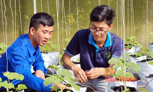 Bình Phước: Đổi mới sáng tạo để kiến tạo tương lai 