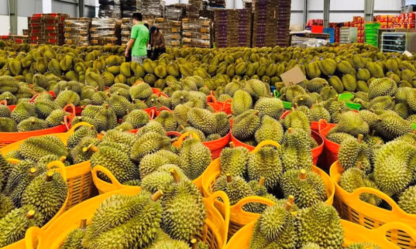 Thái Lan bất ngờ tăng chi tiền lớn mua rau quả Việt Nam