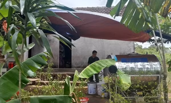 Quảng Trị: Người phụ nữ tử vong sau khi bị rắn cắn khi hái cây thuốc