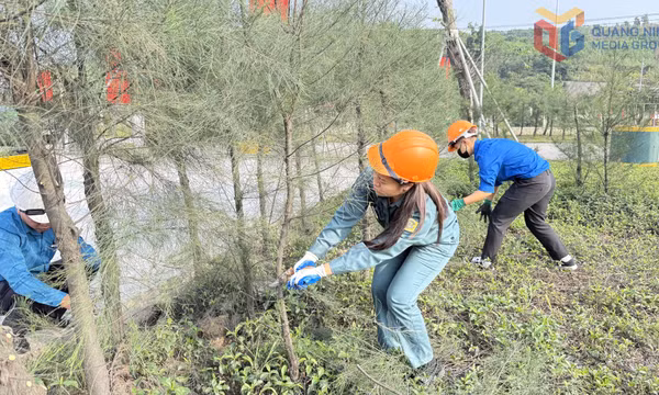 Xanh hóa môi trường mỏ
