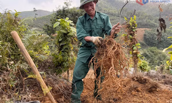 Đồng hành cùng hội viên phát triển kinh tế, làm giàu bền vững