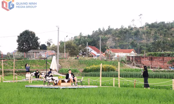 Khám phá những điểm du lịch xanh ở Hoành Bồ