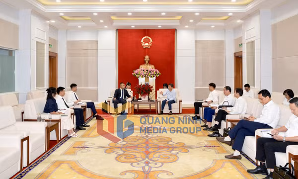Chủ tịch UBND tỉnh Bùi Văn Khắng tiếp xã giao nhà đầu tư, tháng 6-2026