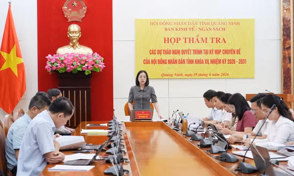 Ban Kinh tế - Ngân sách HĐND tỉnh thẩm tra các dự thảo nghị quyết