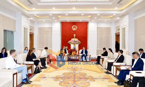 Chủ tịch UBND tỉnh Bùi Văn Khắng tiếp xã giao Phó Chủ tịch Quốc hội Đức, tháng 6-2026