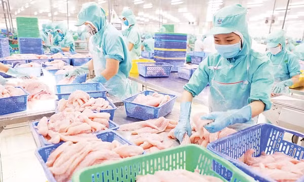 Bước chuyển bền vững cho ngành hàng thủy sản chiến lược