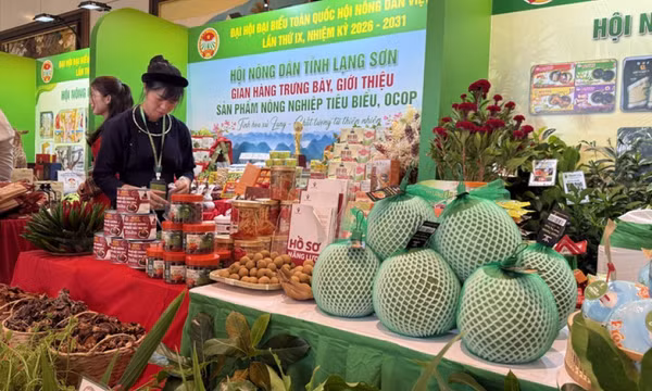 Nông sản Việt minh bạch nguồn gốc bước ra thị trường quốc tế