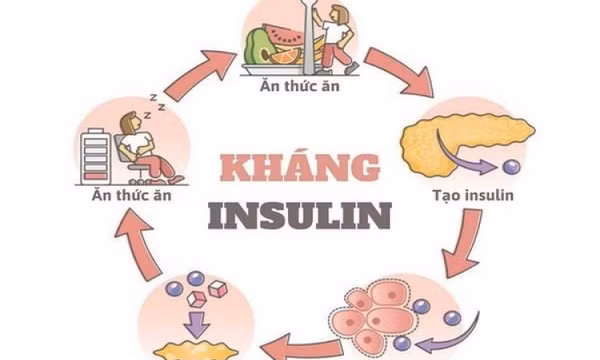 Omega-7 có giúp cải thiện đề kháng insulin và sức khỏe chuyển hóa?