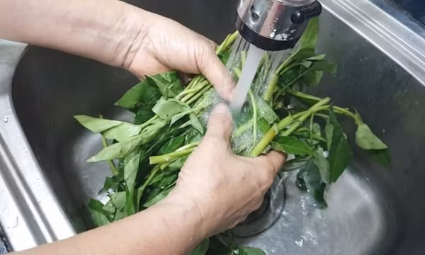 5 sai lầm khi bảo quản khiến rau củ nhanh hỏng, mất chất dinh dưỡng