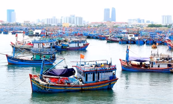 Phạt tối đa 2 tỷ đồng với hành vi vi phạm hành chính lĩnh vực thủy sản