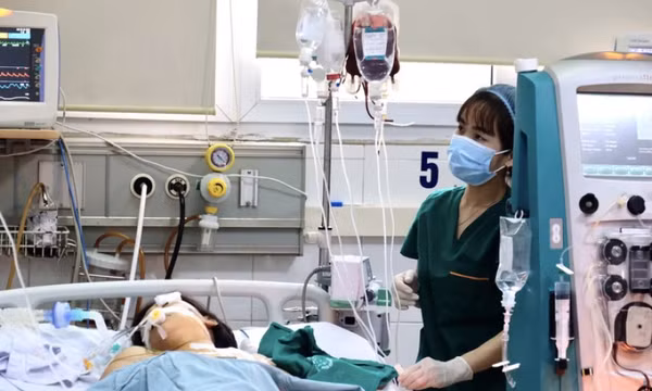Ca mắc sốt xuất huyết, tay chân miệng gia tăng, COVID-19 giảm
