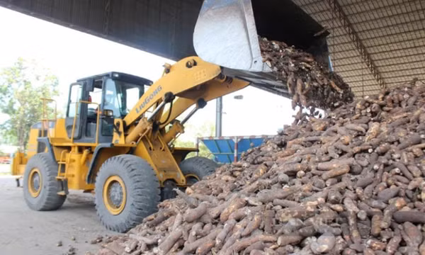 Xăng E10: Cơ hội "đánh thức" vùng nguyên liệu tỷ đô