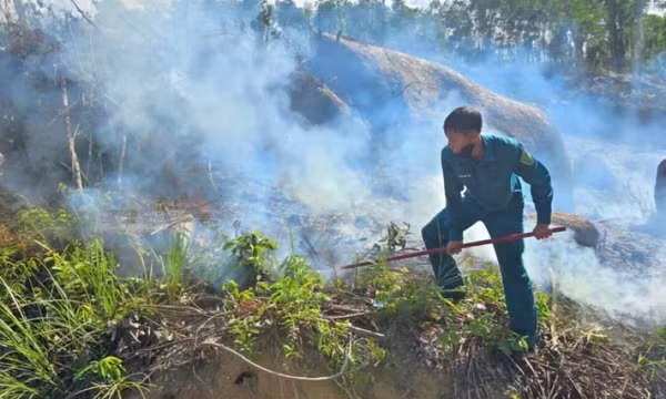Phát hiện thi thể người đàn ông sau khi dập tắt đám cháy rừng ở Đà Nẵng