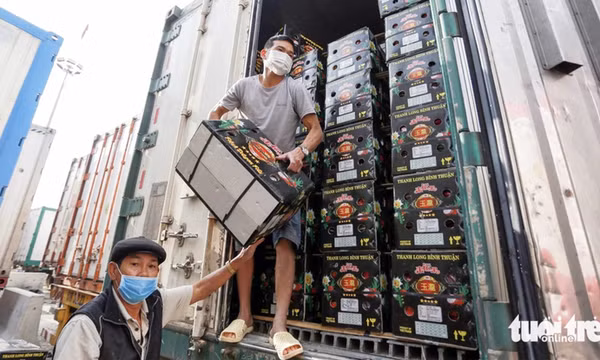 Gian lận thương mại thời AI: Cảnh báo cho doanh nghiệp xuất khẩu