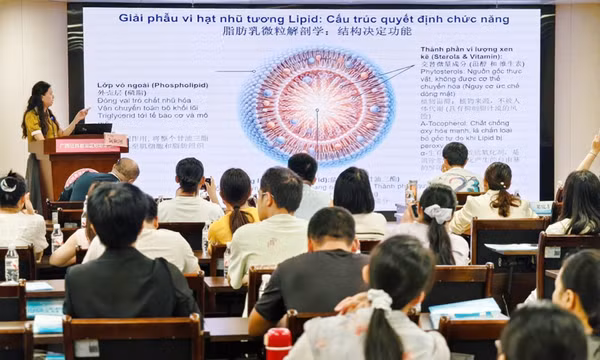 Nâng tầm phát triển y tế, giáo dục hiện đại