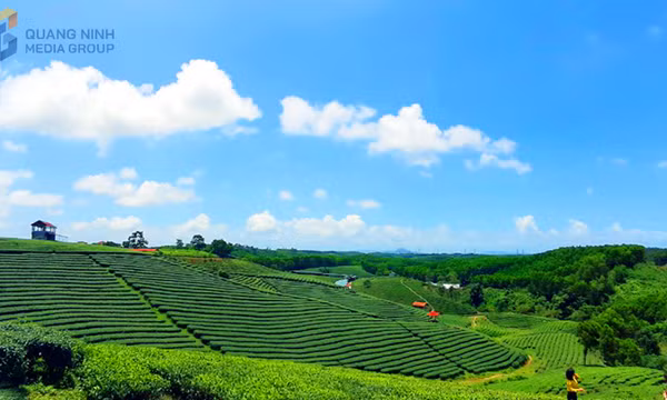 Khai thác du lịch trải nghiệm mới ở Đường Hoa 