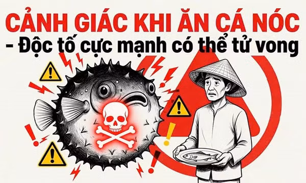 Một trẻ tử vong, nhiều người nhập viện sau khi ăn cá nóc, cá chình biển
