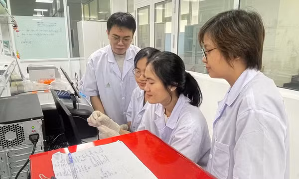 Nghệ trắng và triển vọng hỗ trợ điều trị ung thư dạ dày