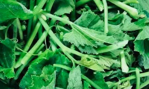 Bổ máu, mát da vào mùa hè bằng loại rau dễ tìm