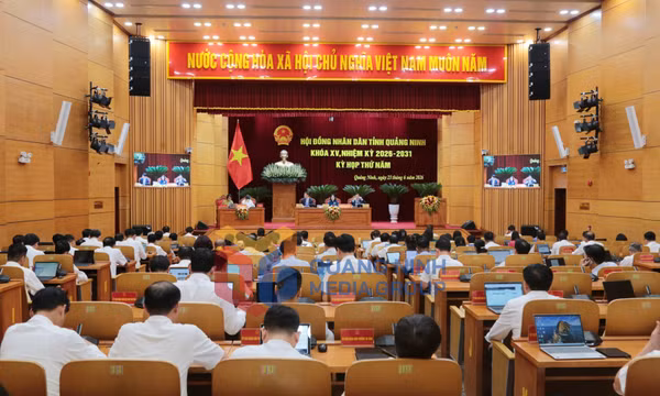 Kỳ họp thứ 5 HĐND tỉnh khóa XV, tháng 6-2026