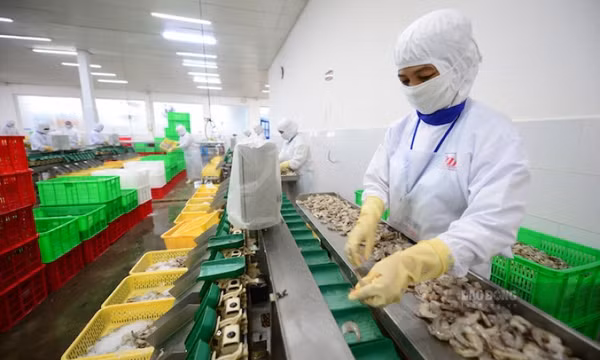 Việt Nam giữ vững vị trí top 3 quốc gia xuất khẩu thủy sản lớn nhất thế giới