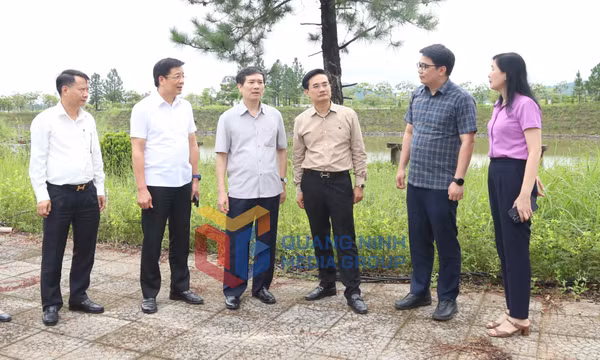 Tổ công tác số 2 Tỉnh ủy tháo gỡ vướng mắc các dự án tại phường Móng Cái 1, Móng Cái 2 và Móng Cái 3, tháng 6-2026
