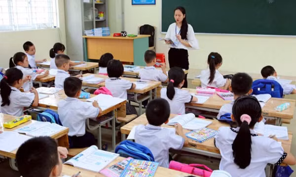 Có thể chuyển từ kế toán sang giáo viên tiểu học không?