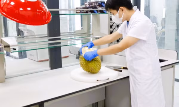 Phòng thử nghiệm của Trung tâm giám định thử nghiệm Tân Đại Dương, phường Móng Cái 1, được công nhận năng lực phân tích Cadimi và Vàng O kiềm