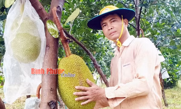 Thu nhập ổn định từ đa canh