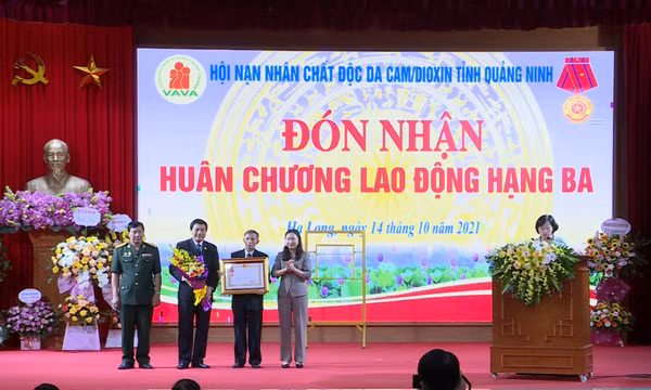 Tổng kết phong trào Hành động vì nạn nhân chất độc da cam/dioxin