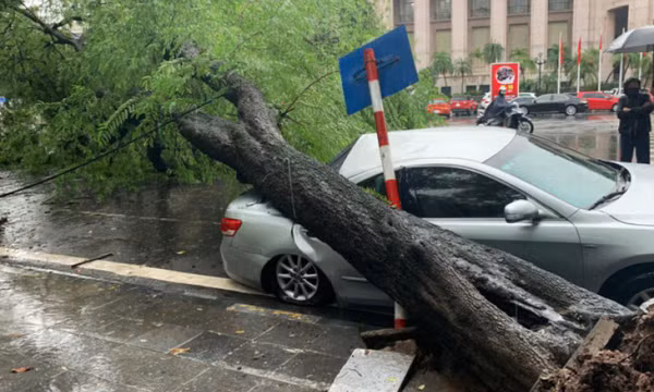 Hà Nội: Cây cổ thụ đổ đè ôtô trên phố